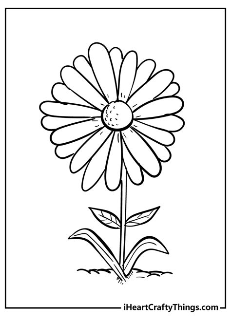 Daisy Flower Printable Coloring Pages | Best Flower Site