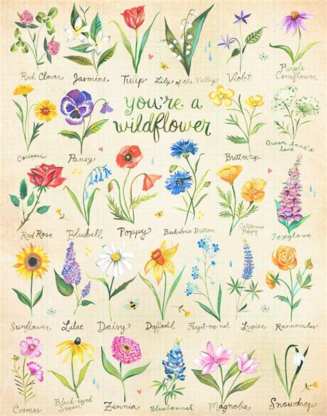 You're a Wildflower | Art Print | Floral Wall Art | Katie Daisy | 8x10 ...