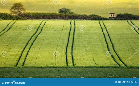 Agriculture in Germany stock image. Image of weather - 82217097