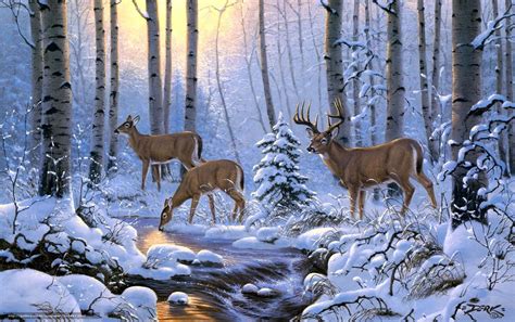 Winter Deer Wallpapers - Top Free Winter Deer Backgrounds - WallpaperAccess