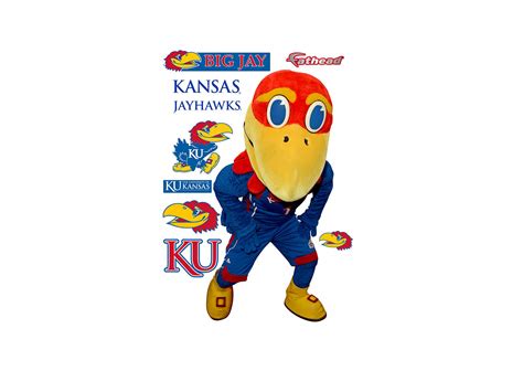 Kansas Jayhawks Mascot - Big Jay Wall Decal | Shop Fathead® for Kansas ...