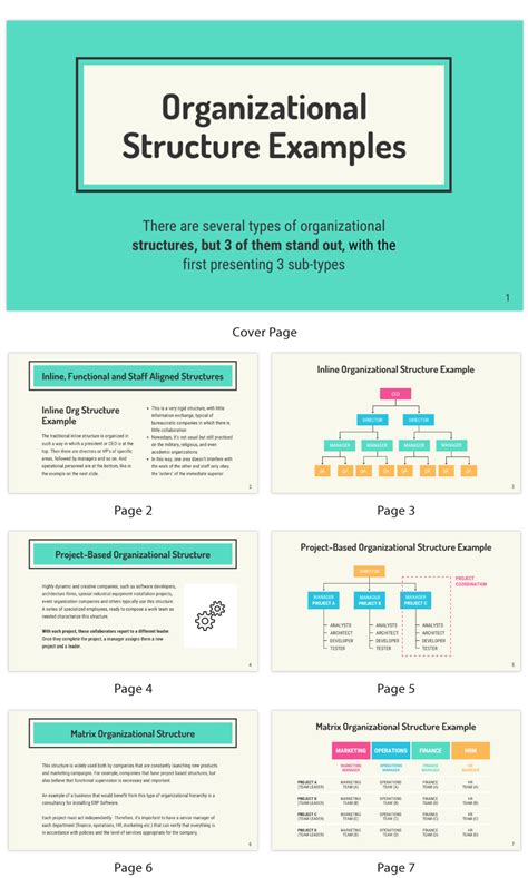 Organizational Structure Presentation Template - Venngage