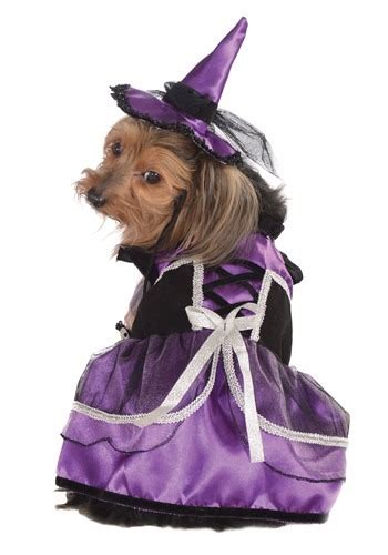 Purple Witch Costume for Dogs and Cats