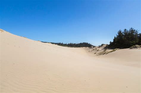 Naturetastic Blog: Oregon Dunes National Recreation Area, Umpqua River Lighthouse - Oregon Coast