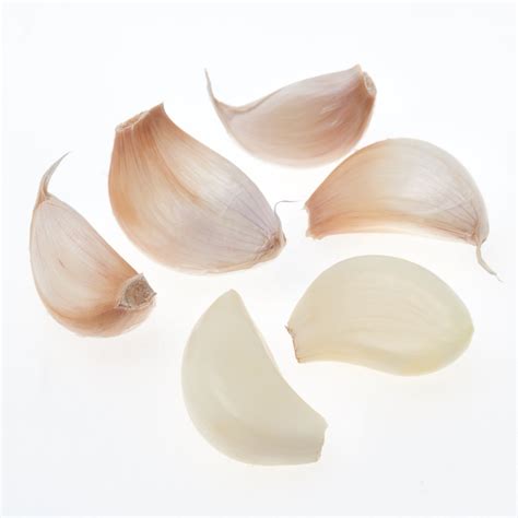 Garlic plant structure | Garlic Matters