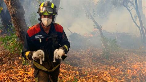 Battle against Tenerife wildfire improves, but the fire remains impossible to control