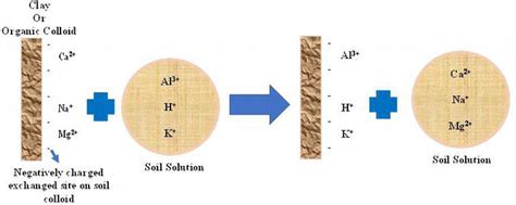 Basics of Clay Minerals and Their Characteristic Properties | IntechOpen