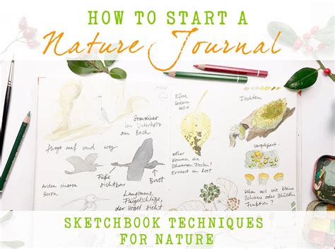 How To Start A Nature Journal