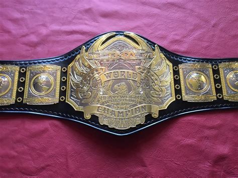 Tna World Heavyweight Championship Wrestling Wiki Fan - vrogue.co