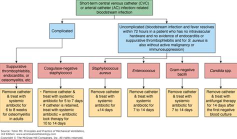 Complications Associated with Mechanical Ventilation | Anesthesia Key