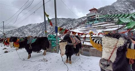 Sikkim: Tsomgo lake reopens for tourists | Northeast Live