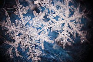 How to Shoot Snowflake Photography (Stunning Macro Snowflakes)