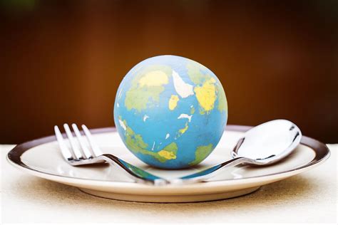 Are Vegan And Vegetarian Diets Beneficial To The Environment? - WorldAtlas