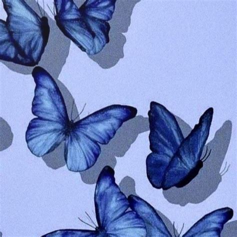 Butterfly Aesthetic Wallpapers - App on the Amazon Appstore