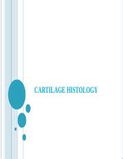 Understanding Cartilage Histology: Composition, Growth, and | Course Hero