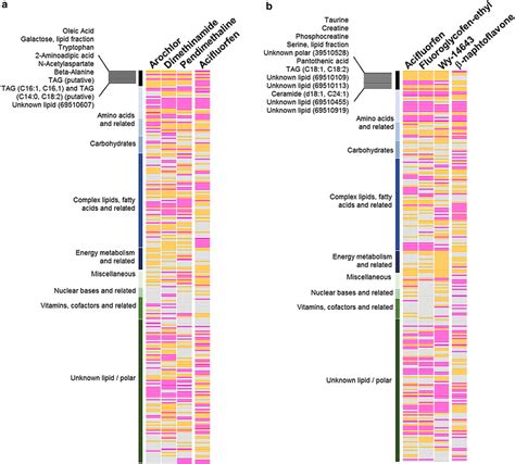 Heat map of metabolome changes induced by liver enzyme inducers and ...