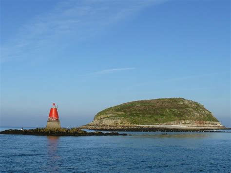 Seacoast Safaris – Puffin Island Boat Tours | VisitWales