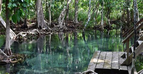 Krabi: Kayaking Tour To Ao Thueak Lagoon With Lunch