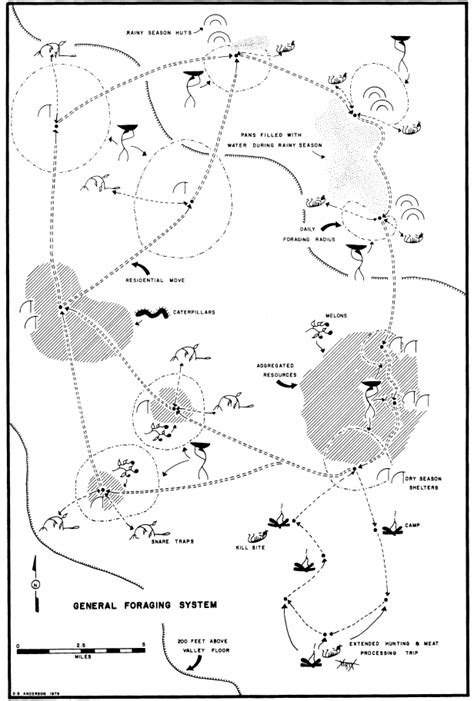 Cryptoforestry: Foragers land use, with maps