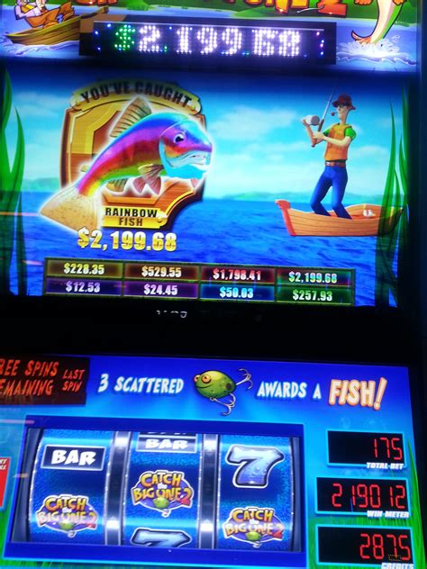 Slot Machines At Seminole Hard Rock Hotel & Casino Tampa Casino