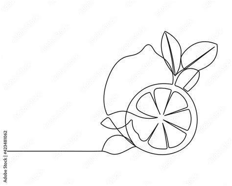 Lemon with Leaves Continuous One Line Drawing. Black Line Fruit Sketch ...