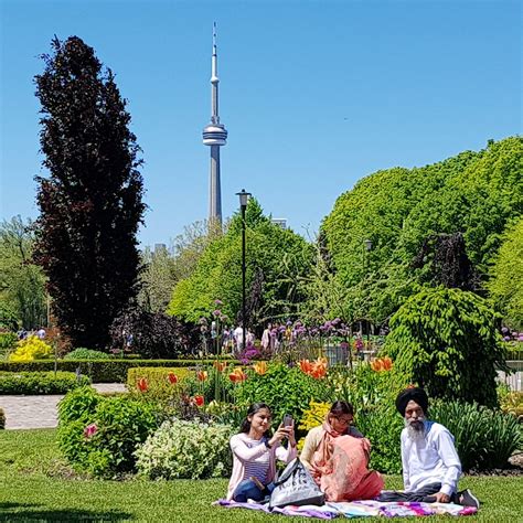 Toronto Island Park - All You Need to Know BEFORE You Go (2024)