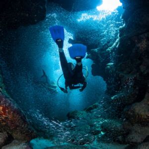 Cayman Islands Diving - Travel Off Path