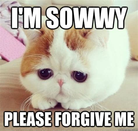 20 Forgive Me Memes That'll Show How Sorry You Are | SayingImages.com