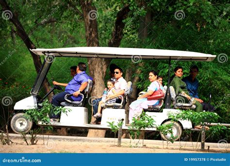 Zoo car editorial stock photo. Image of safari, greenery - 19957378