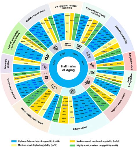 Hallmarks of aging-based dual-purpose disease and age-associated ...