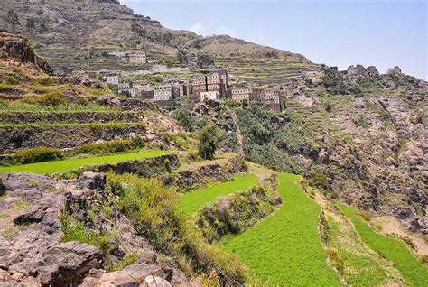 Yemen landscapes flora fauna – Artofit