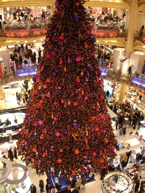 Zoom sur les sapins de noël les plus lumineux – L'éclairage de votre maison