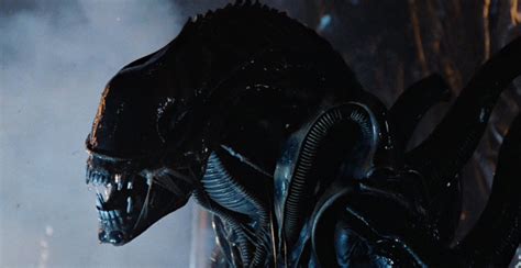 [SPOILER] Alien: Romulus: Nuovi dettagli sulla storia da dei video di ...