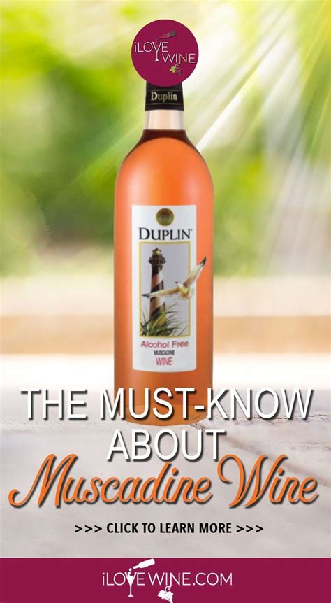 The Ultimate Guide to Muscadine Wine | Muscadine wine, Wine benefits ...