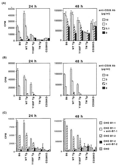 Proliferative response of T cells from CD28 transgenic mice. A,... | Download Scientific Diagram