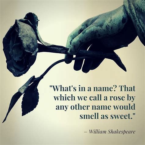 "Whats in a name? That which we call a rose by any other name would ...