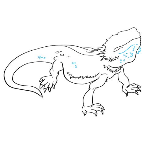 How to Draw a Bearded Dragon Lizard - Really Easy Drawing Tutorial