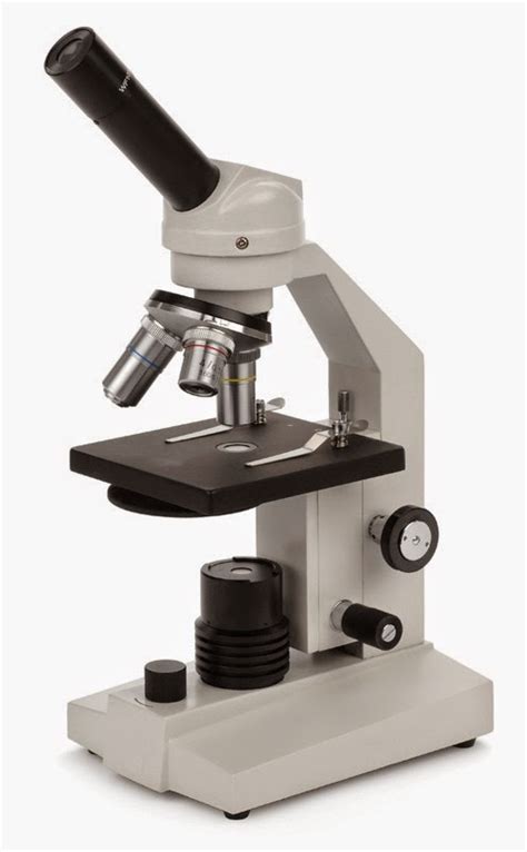 Microscope World Blog: Semen Microscope