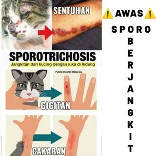 Set Of Sporo Spray F7 And Cream S3 Natural Cats Spray Cat Sporo Pus Ulser Watery Wounds Fungus ...