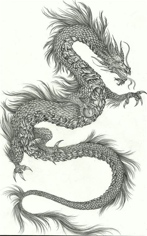 black dragon - Google Search Dragons Tattoo, Dragon Tattoo Art, Dragon ...