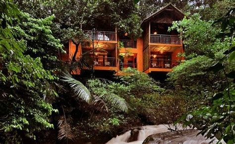 Wayanad Tree House Stay Experience | Best resorts, Luxury tours, Resort