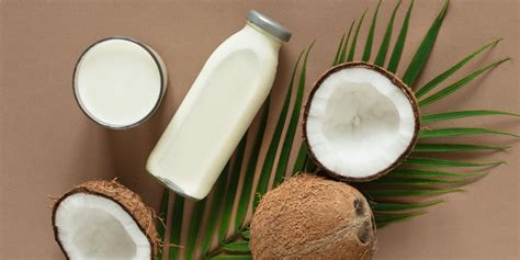 7 Benefits of Coconut Milk | BODi