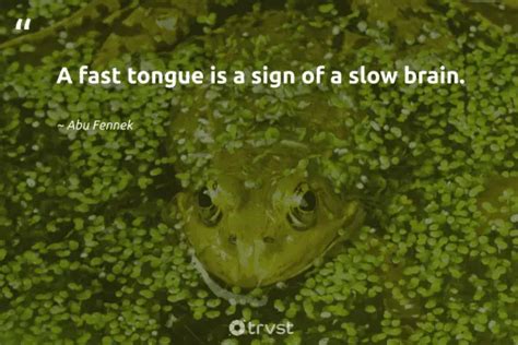 27 Frog Quotes about the Diverse Amphibians