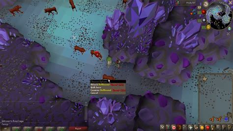 Safe spotting the hellhounds found in The Catacombs of Great Kourend (Old School Runescape ...