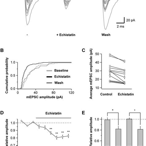 RGD Peptides Reduce mEPSC Amplitude | Download Scientific Diagram