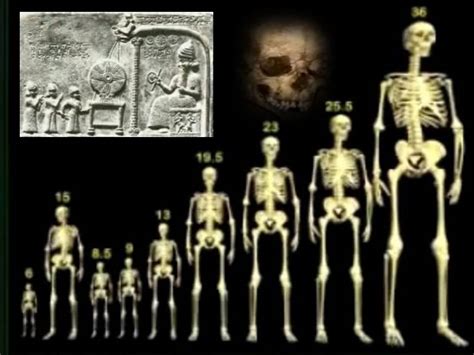 Test Cracker: The Truth About Nephilim Giants - Steve Quayle