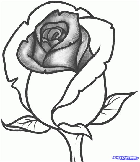 JUST SIMPLE BLOG: HOW TO DRAW A ROSE BUD