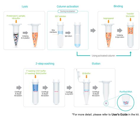 COVID-19_Nucleic Acid Extraction Kit_Spin-column_bioneer