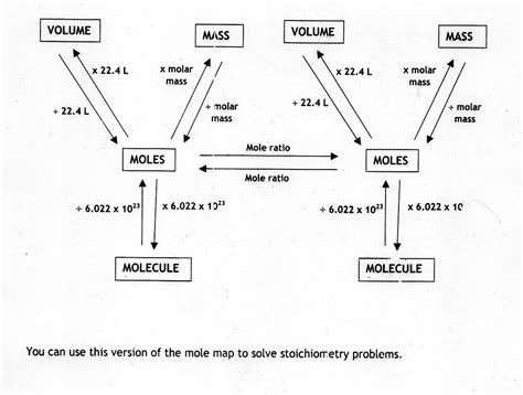 worksheet. Mole Concept Worksheet. Grass Fedjp Worksheet Study Site