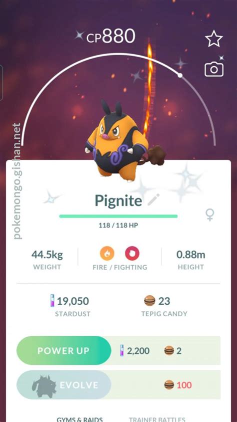 Shiny Pignite - Pokemon Go